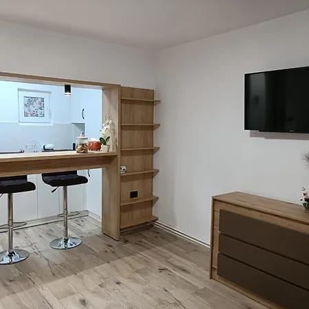 Train Station Apartment Brasov